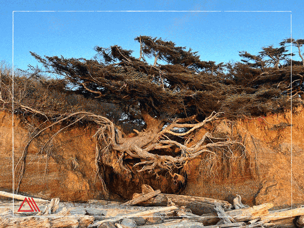 Amy Rose Hoh Blog 1 Web