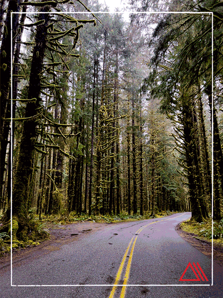 Amy Rose Hoh Blog 3 web