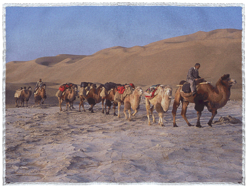 Challenge Grant Blog Image 2