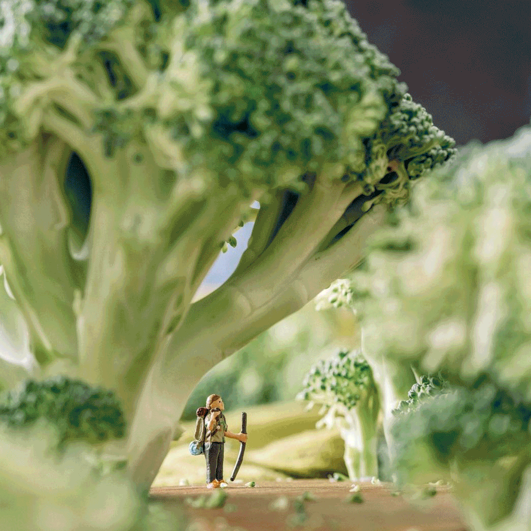 Erin Outdoors Blog 2